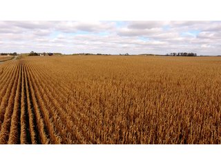 Property photo 10 - IMPORTANT INDIANA LAND AUCTION - 346+/- ACRES - 3 FARMS OFFERED IN 9 TRACTS IN WAYNE COUNTY, INDIANA